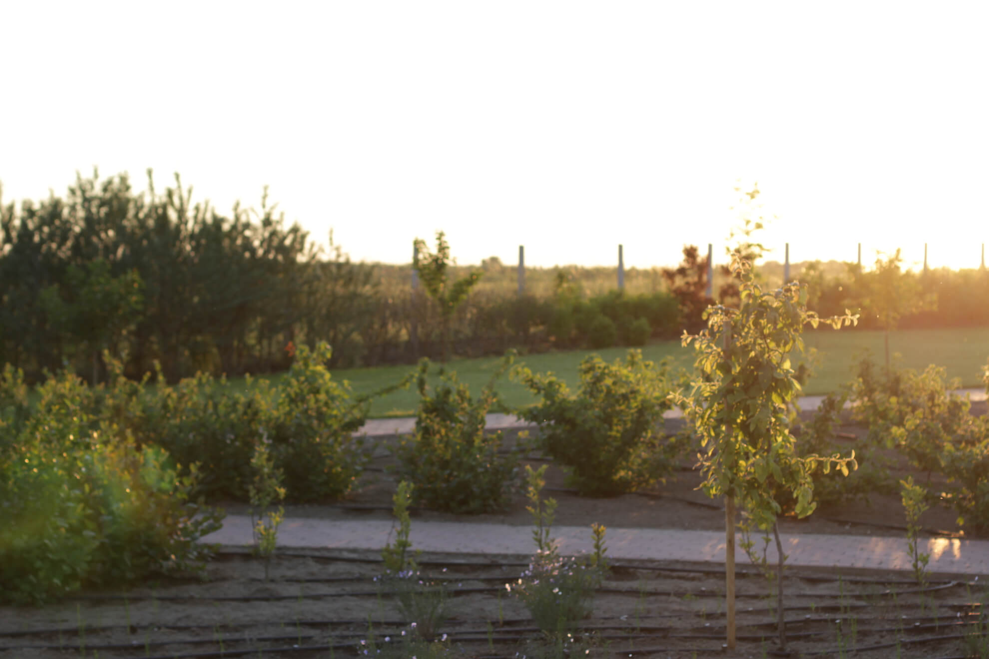 Eminence Certified Organic Farm