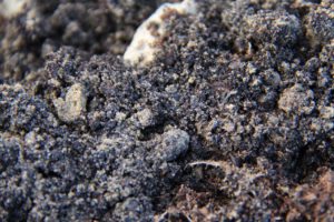 Closeup of organic soil