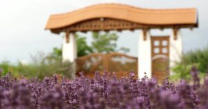 éminence organic skincare