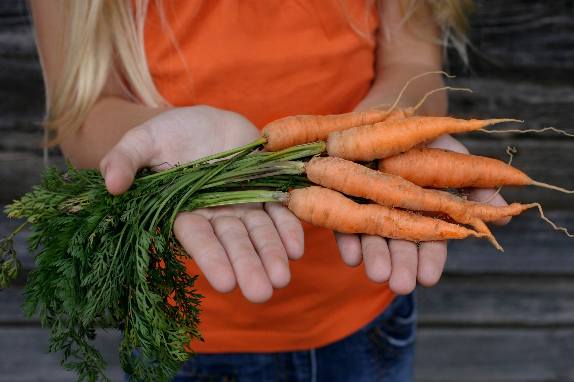 Carrot Skin Care: The Ultimate Guide - Eminence Certified Organic Farm